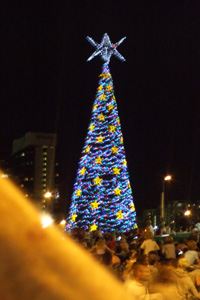 キング・ジョージ・スクエアのクリスマスツリー