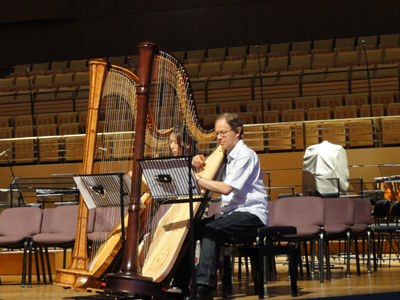  The Lipman Harp Duo